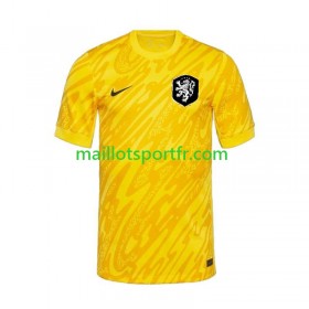 Maillot de Foot Pays-Bas Gardien Exterieur UEFA Euro 2024